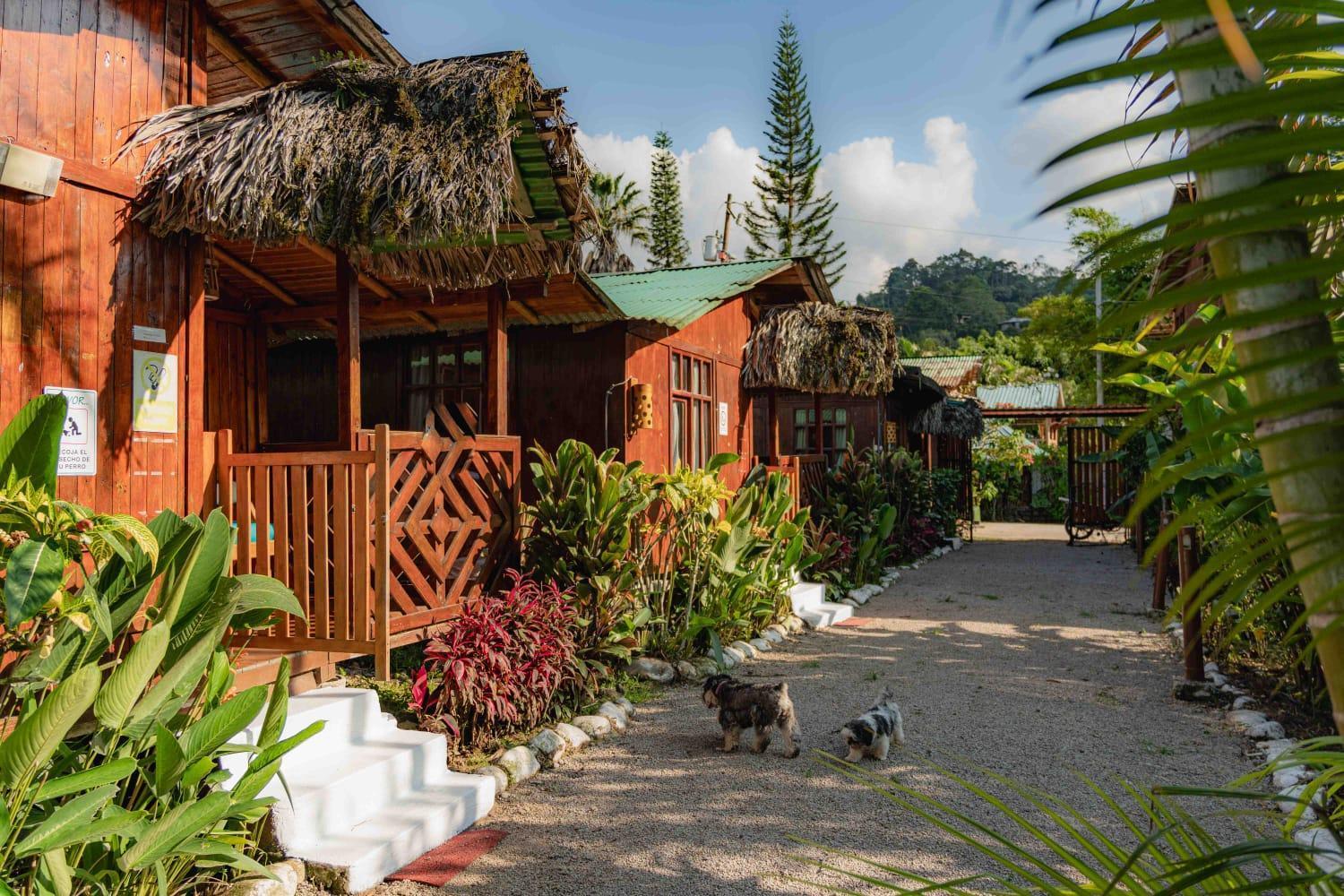 Mindo Glambird Glamping & Lodge Esterno foto