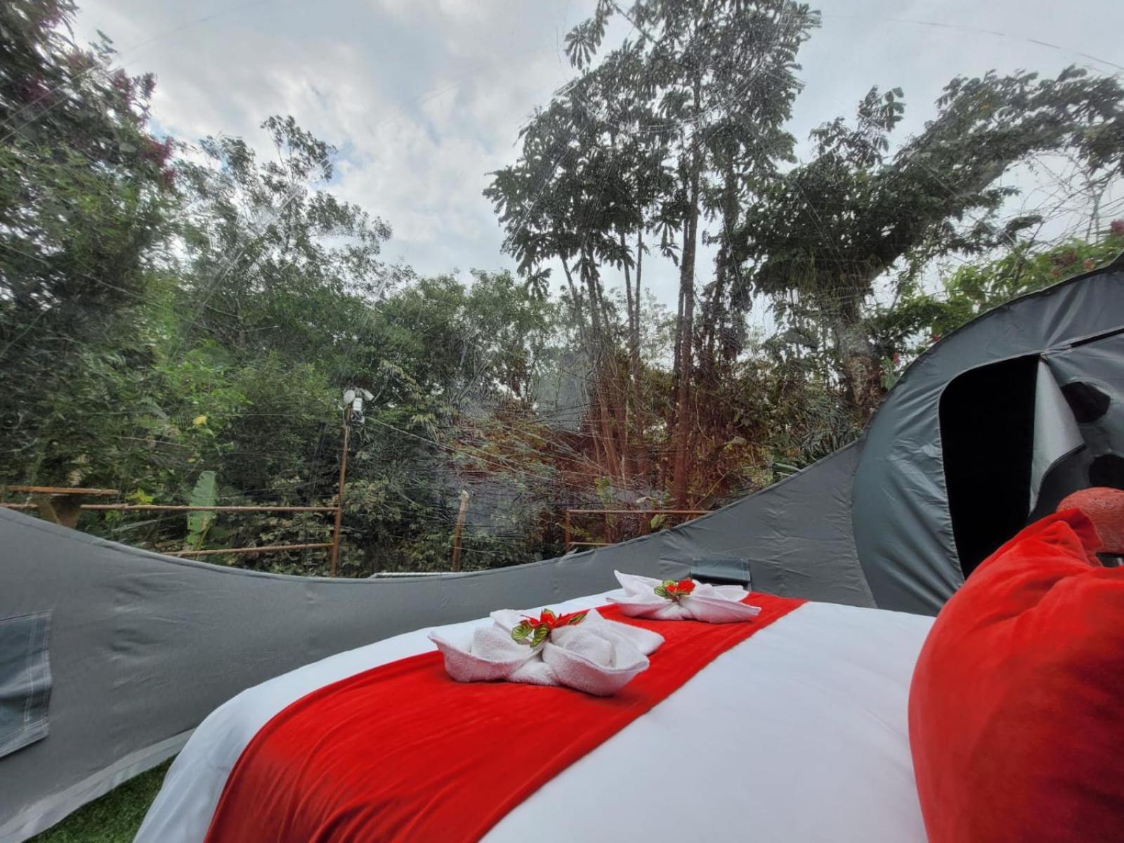 Mindo Glambird Glamping & Lodge Esterno foto